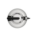Alessi AC100 Bulbul Bollitore in acciaio Inox vista