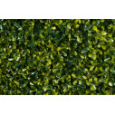 Bosso Flat Giardino Verticale VGnewtrend dettaglio