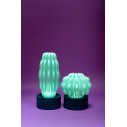 Cactus Large con luce Serralunga ambientazione