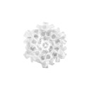 Clizia Ceiling-Wall Mini Mama Non Mama lampada da soffitto-parete White Slamp vista