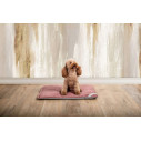 Filiform Bed Cuccia-Cuscino Labilla ambientazione