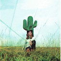 Gufram Another Green Cactus Appendiabiti ambientazione