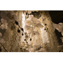 Lampadario Phalenopsis Flowers Power H 80 65x65 VGnewtrend dettaglio