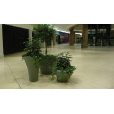 Ming Large vaso Ø 80 Serralunga ambientazione