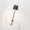 Poldina Pro LED lampada con picchetto Grigio scuro Zafferano ambientazione