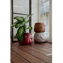 Together Low Table Slide ambientazione