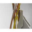 Twist Appendiabiti Horm ambientazione