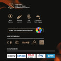 Camino a Vapore Acqueo 3D APP bruciatore inserto da incasso 75 Pro-Line Divina Fire dettaglio