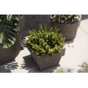  Vaso 120x120x91 cm Vondom ambientazione
