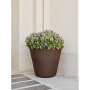 Vaso Ribeira 60 Tera ambientazione
