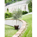 Vaso Standard One 70 Tera ambientazione