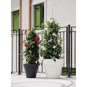 Vaso Standard One 50 Tera ambientazione