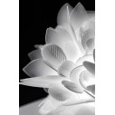 Veli Ceiling-Wall Large lampada da soffitto-parete Foliage Slamp dettaglio