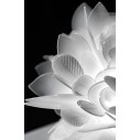  Veli Table lampada da tavolo Foliage Slamp dettaglio